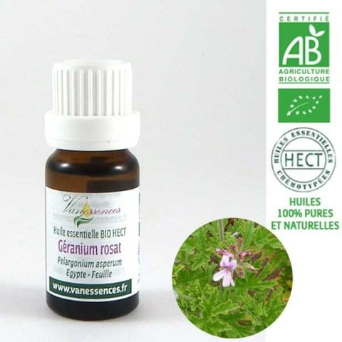geranium-rosat-pelargonium-asperum-huile-essentielle-bio-hect-