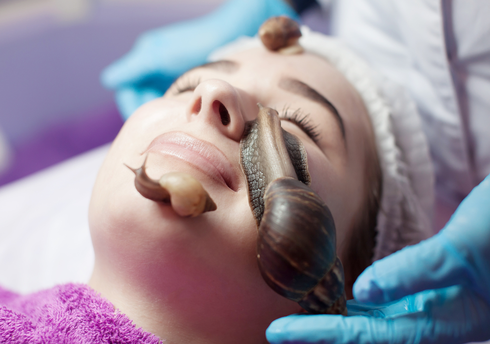 bienfait-bave-escargot