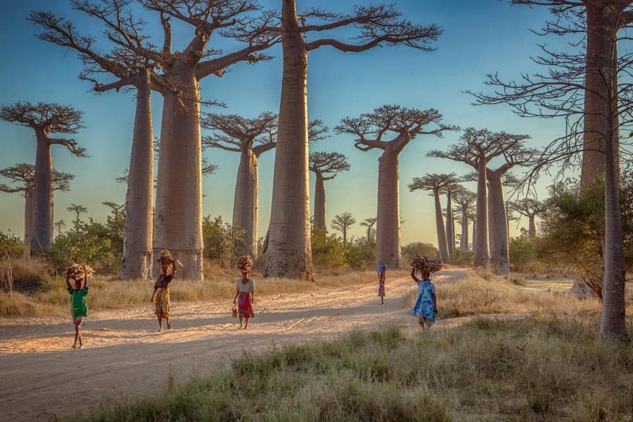Madagascar, la prochaine destination pour vos vacances