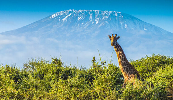 Le Kilimandjaro en Tanzanie